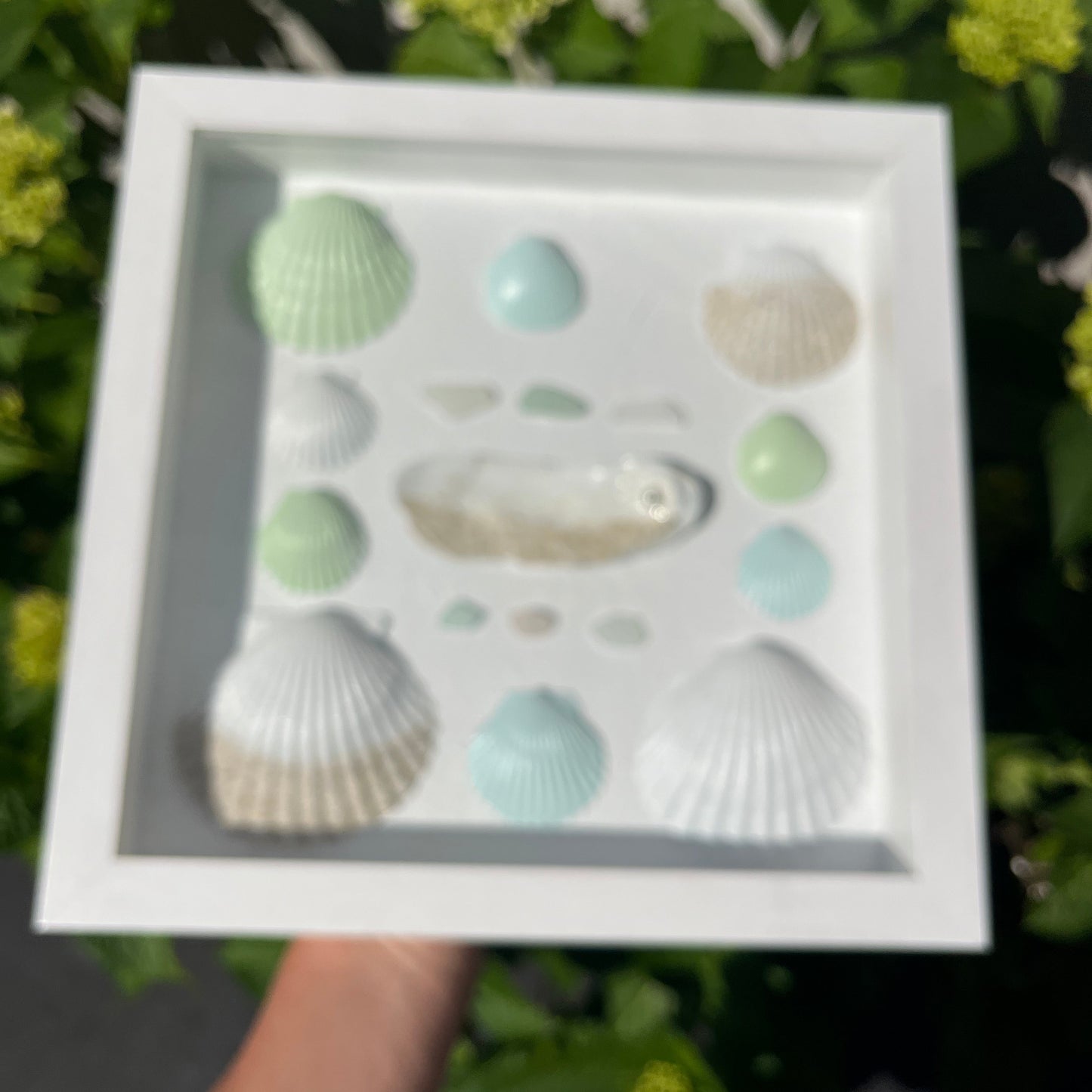 Coastal shells blue/green tones